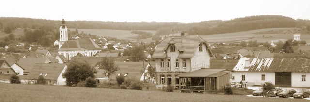 Dischingen (12)