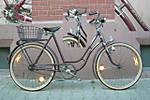 75620080510-1757-comp.jpg