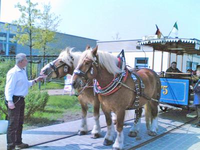 06052006_011_klein