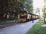 54718_Umsetzen_in_garadna_.jpg