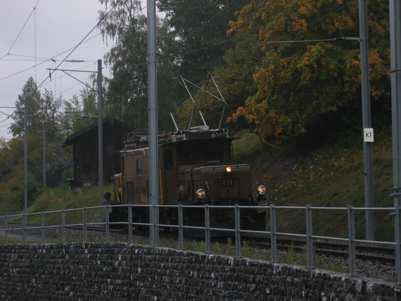 Das Kroko musst im Regen stehen