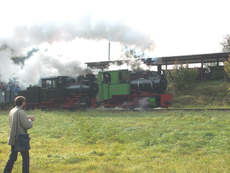 Dampfzug