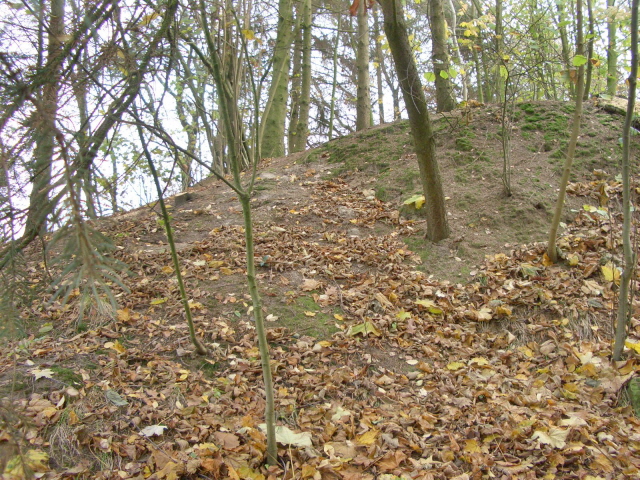 Wald1
