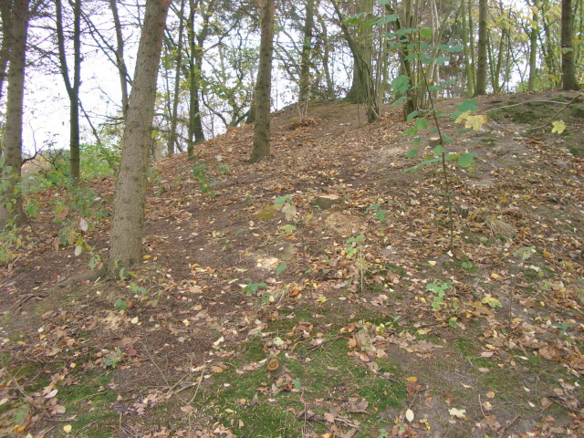 Wald2