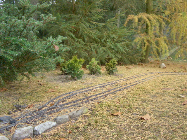 Bepflanzung