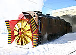 5902007.jpg