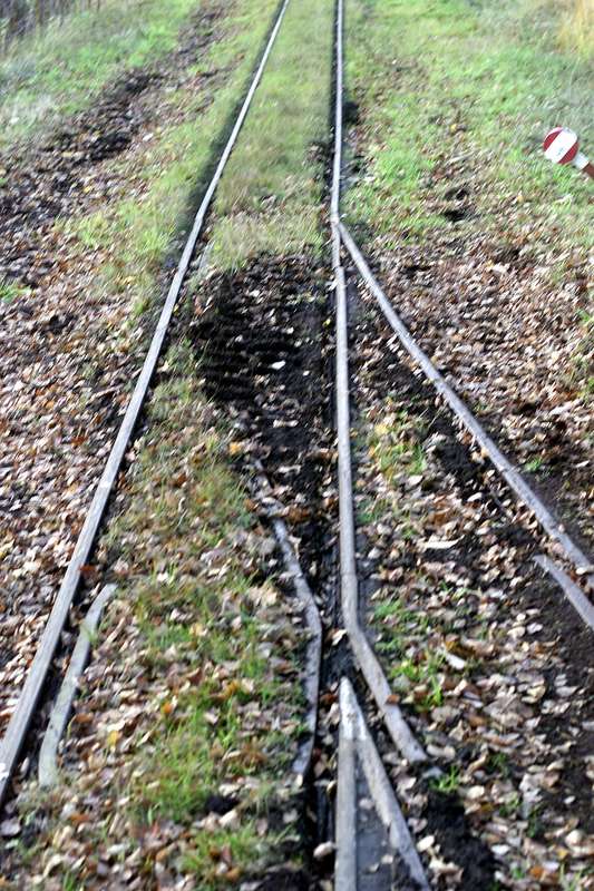 17: Wulfes Heemsen - Weiche