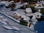 1189DSCF0021_3.JPG