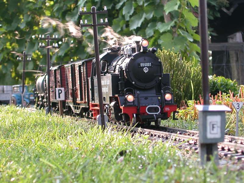 996001 mit Güterzug