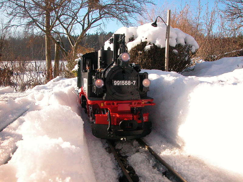 Schneefahrt