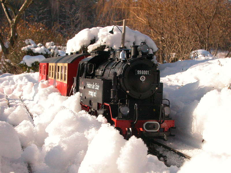 Schneefahrt