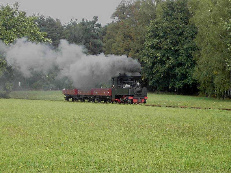 99_3317_mit_Ziegelwagen_an_Goraweiche