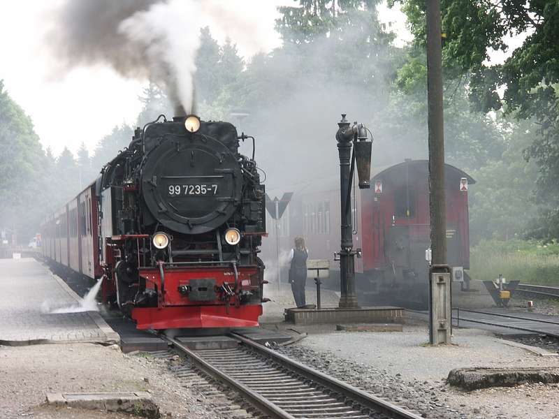 PICT5217