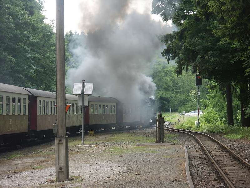 PICT5230