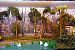 1273DSC07973.JPG