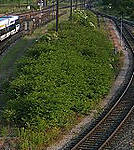 579geh_03.jpg