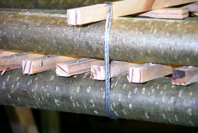 Verspannung