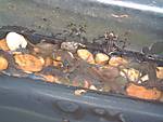 4772008-04-13_Reinigen_des_Lake_ENNO_009.jpg