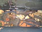 4772008-04-13_Reinigen_des_Lake_ENNO_010.jpg