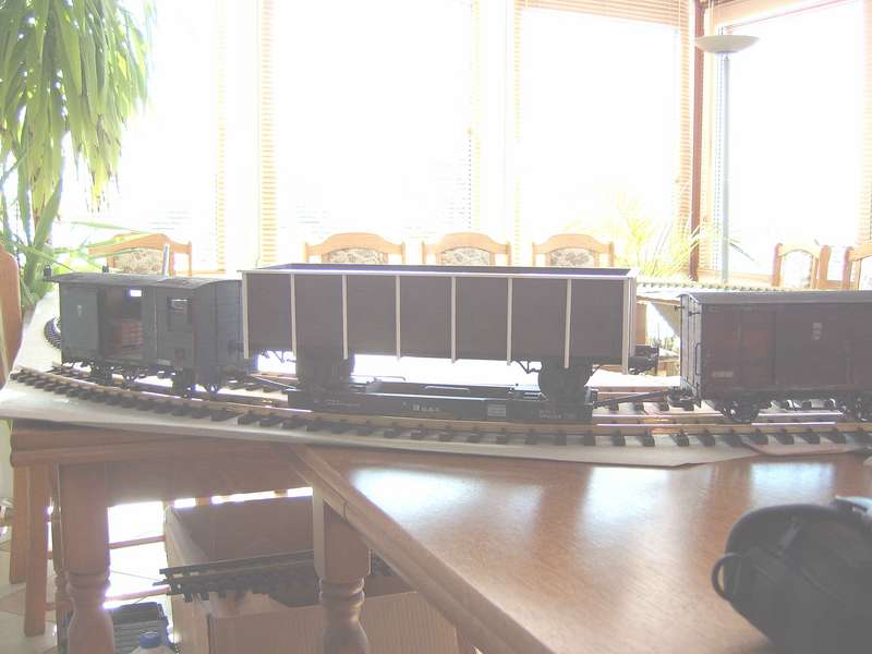 GmP_1