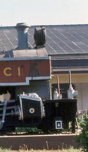 Buntbahn2