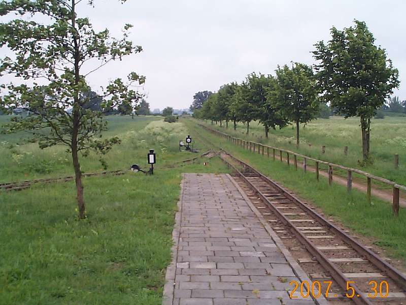 Friedland005