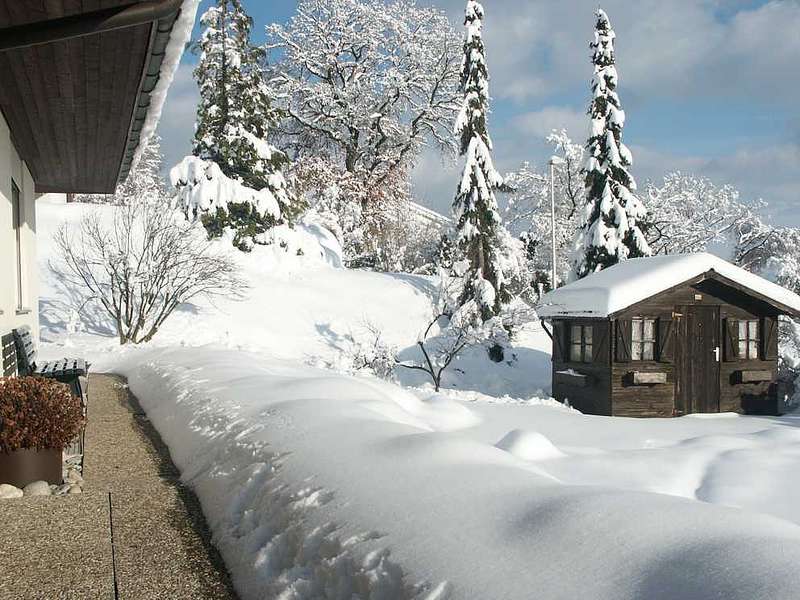 Winter_06_b