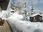 472Winter_06_b.jpg