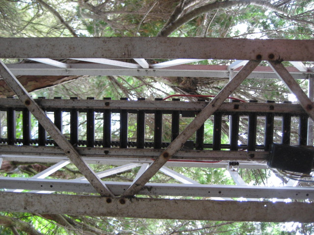 FST viadotto thuja 4