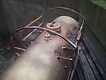 522DSCF8736.jpg