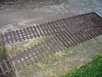 522IMG_16253.jpg