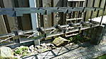 522P1090291.JPG