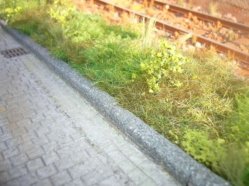 01-03-2006 057