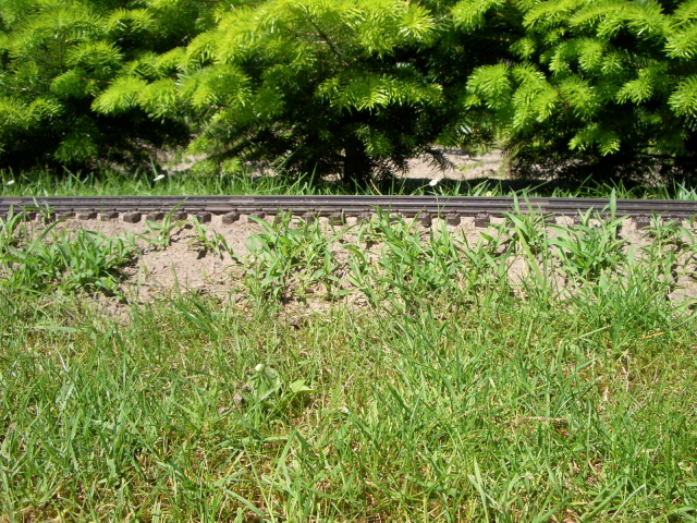 Bahndamm 1
