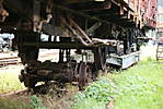 1116mme15138.JPG