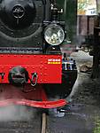 407060501-017-Hoya.JPG