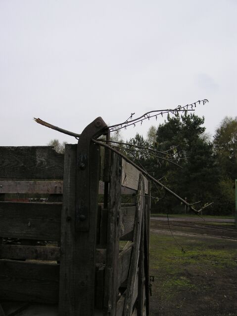 heemsen_meiners1