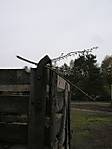 116heemsen_meiners1.jpg