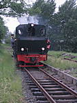 429IMG_5013.jpg