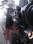 429IMG_5050.jpg