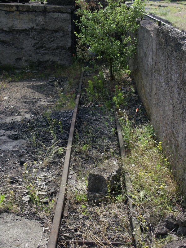 060624_BekohlungAlt_050