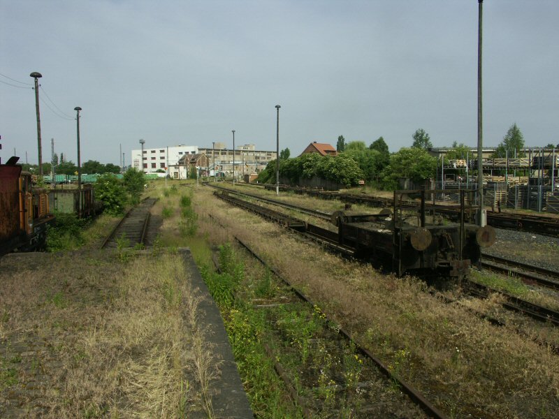 060624_Rollbock_020