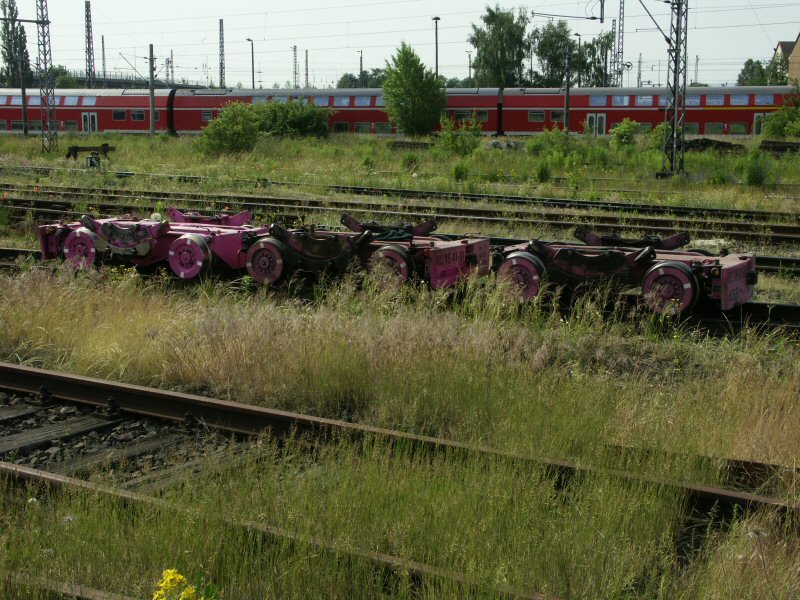060624_Rollbock_073
