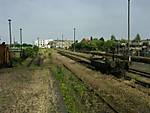 407060624_Rollbock_020.JPG