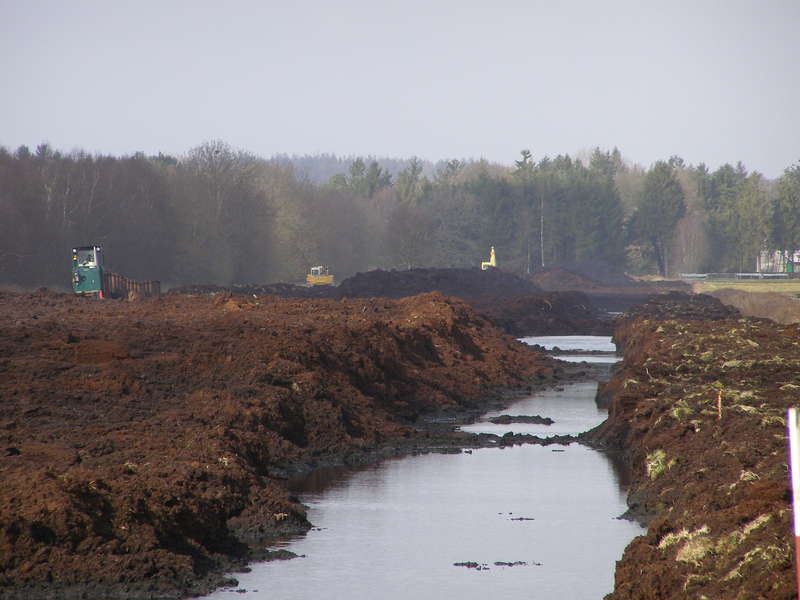 P3130024