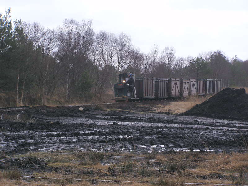P3130031