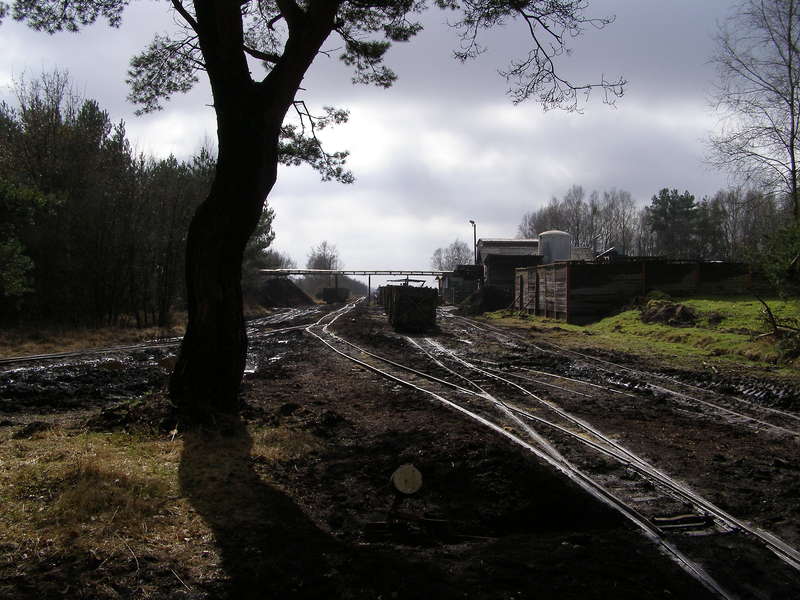 P3130041