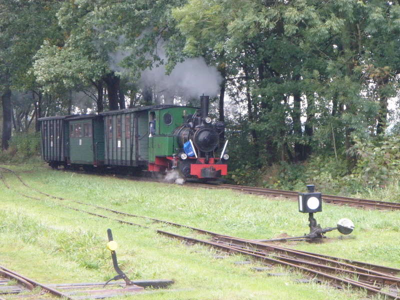 Dampfzug_Deinste