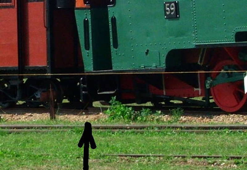 DSCF2530a