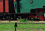 567DSCF2530a.JPG